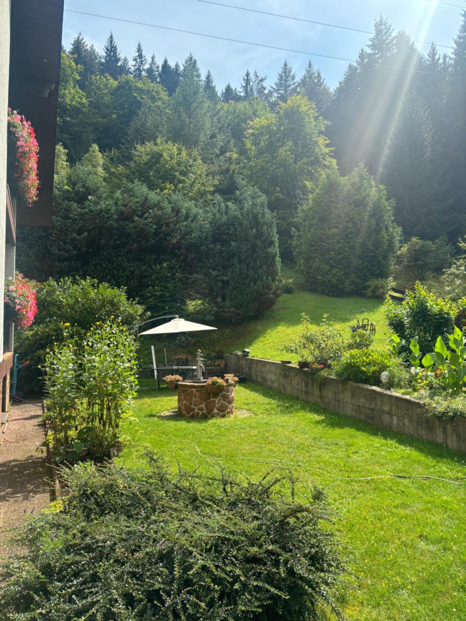 Pension Ernst Im Herzen Des Pfaelzerwaldes Mit Kueche Hotel Elmstein Ngoại thất bức ảnh